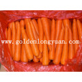 New Crop Fresh Carrot Supplied by Factory